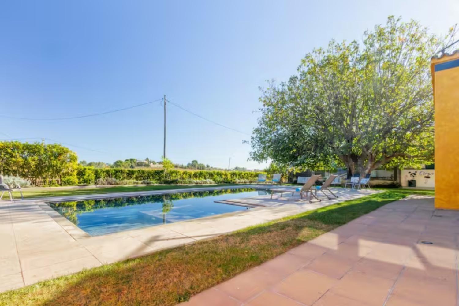 Masia Cal Sisplau, Con Piscina Y Rodeada De Vinedos A 10 Minutos De Vilafranca Del Penedes, Barcelona ,Cataluna San Martín Sarroca Buitenkant foto